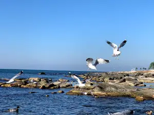 I LOVE AKTAU