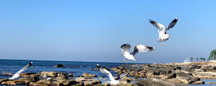 I LOVE AKTAU