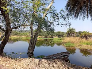 Van Vihar National Park Bhopal