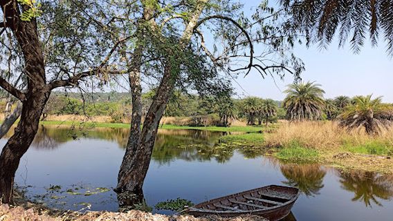Van Vihar National Park Bhopal