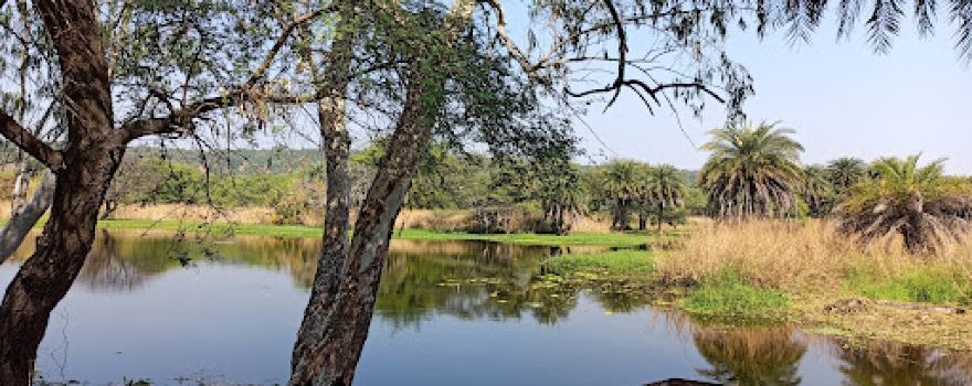 Van Vihar National Park Bhopal