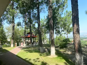 Fizagat