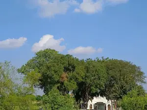 Harai Mata