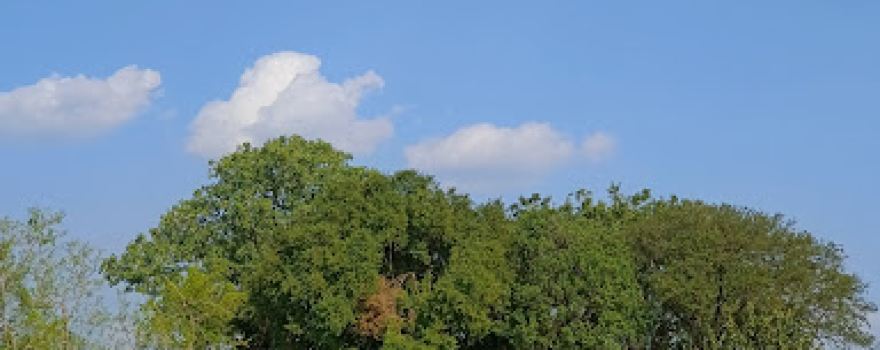 Harai Mata
