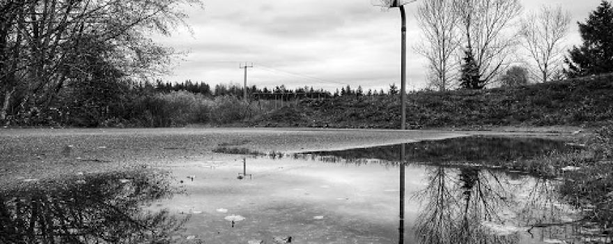 Brierwood Park