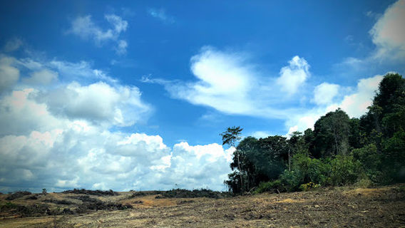 Mersing