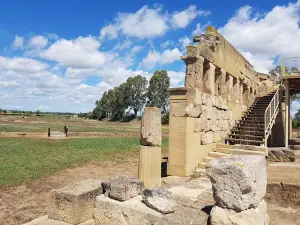 Parco Archeologico dell'Area Urbana di Metaponto