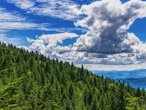 Bayerischer Wald