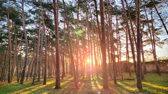 Fuentes Blancas Park