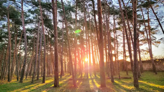 Fuentes Blancas Park