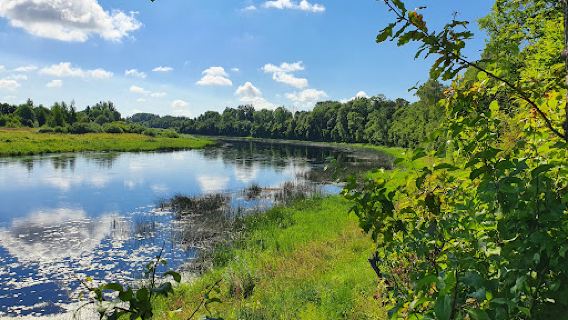 Rundale Camping
