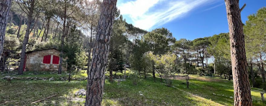 Picnic Land