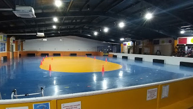 International Roller Skates