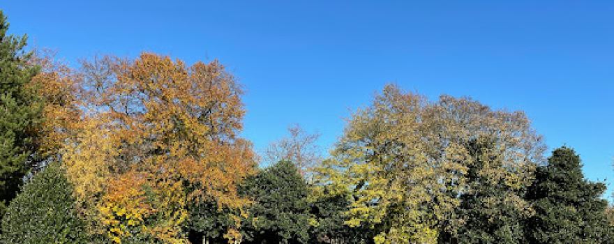 Hyde Park