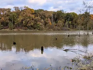 Loblolly Marsh Nature Preserve