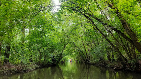 Regional Natural Park of the Marais Poitevin