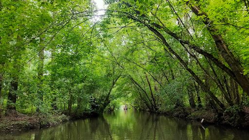 Marais Poitevin Regional Natural Park