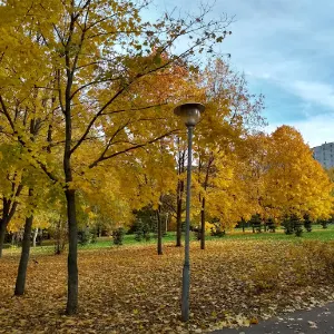 Парк Борисовские пруды