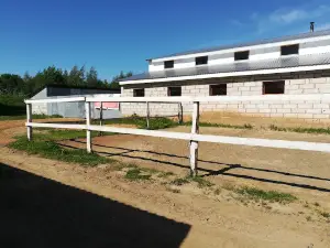 Konno Sportivnyy Klub Serpantin