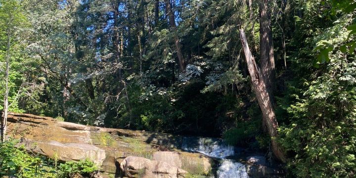 Bowen Park