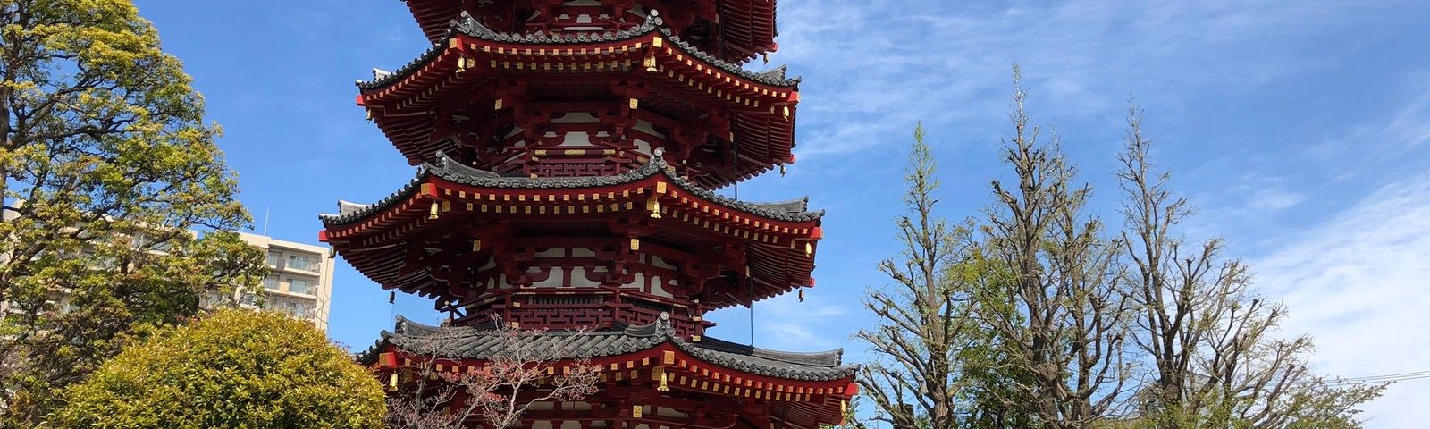 KawasakiPengalaman Sukan