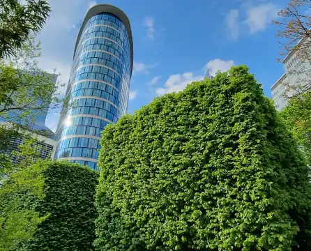 Hotels near Botanical Garden