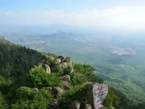 Lady's Seat