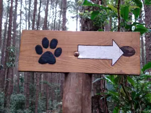 Horto Florestal