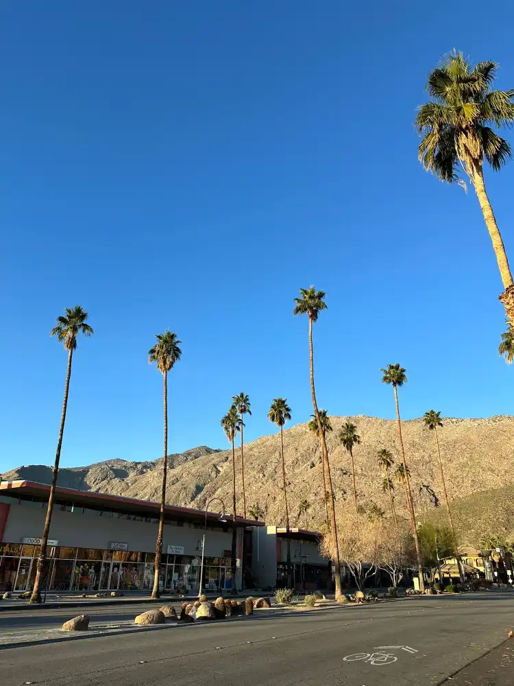 Hotels near Palm Canyon Drive