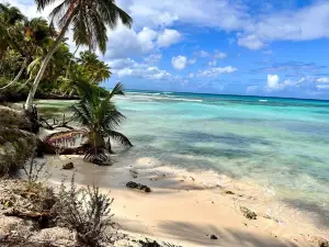 Saona Island