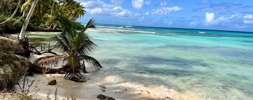 Saona Island