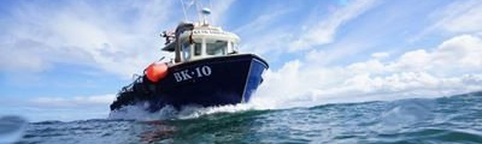 SeahousesDay tours