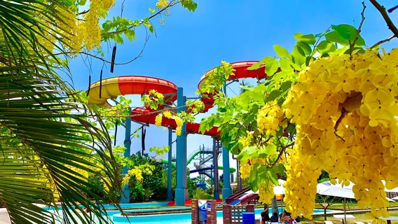 Aquatico Inbursa Waterpark