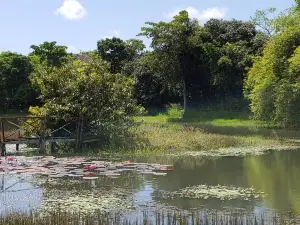 Sargento Prata City Zoo