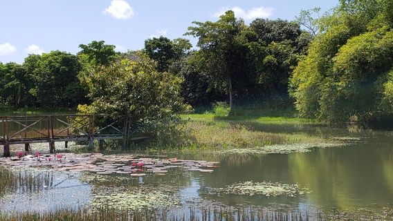 Sargento Prata City Zoo