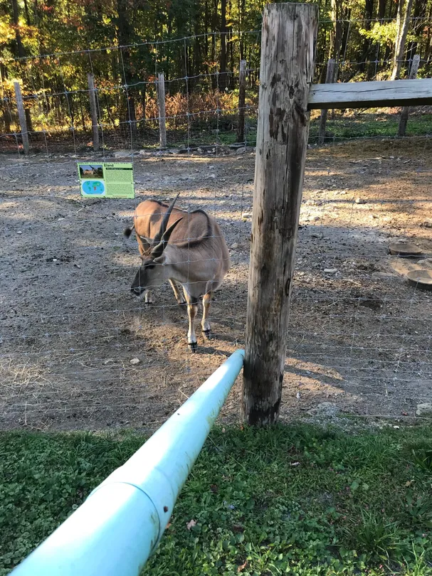5_Hovatter's Wildlife Zoo