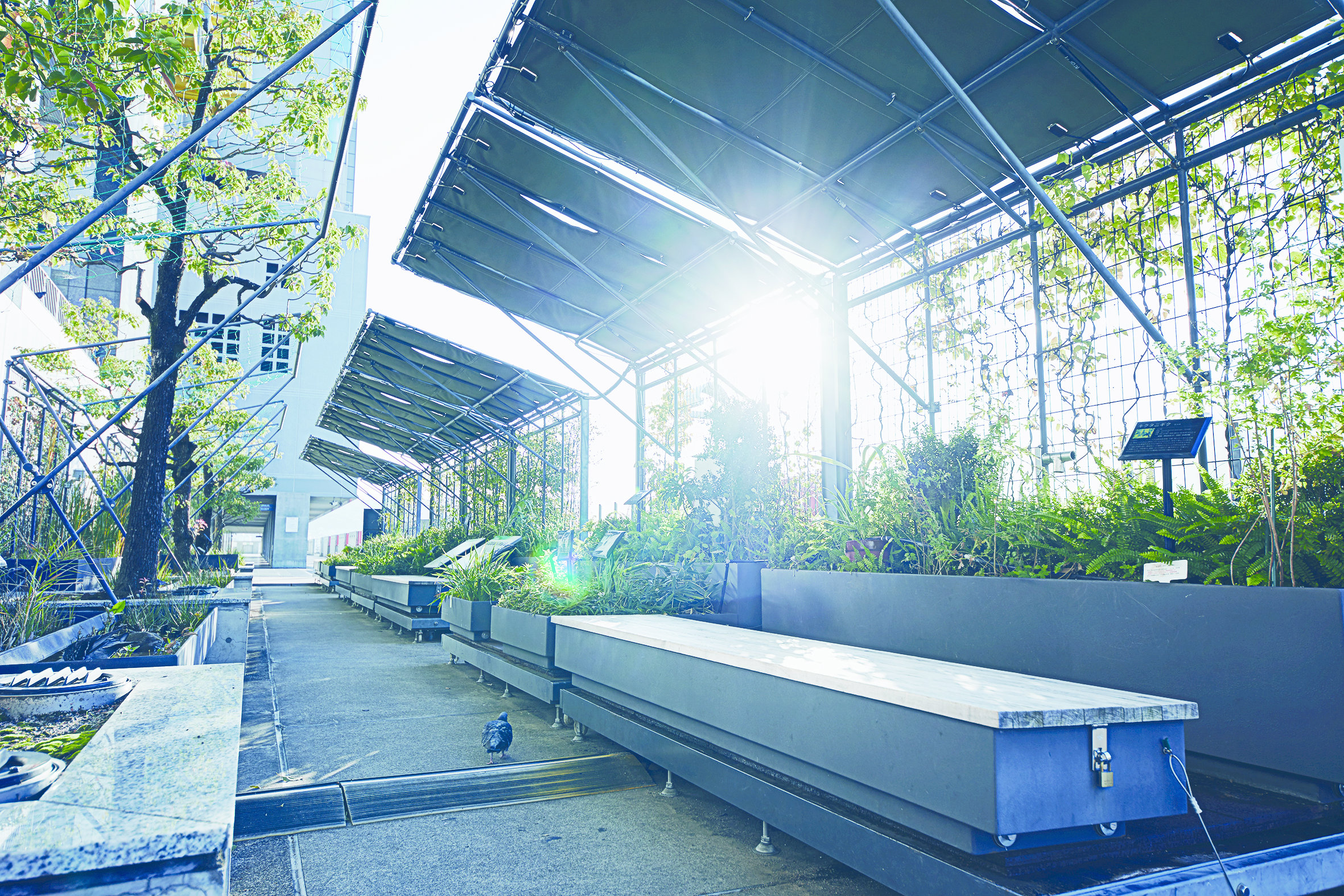 Kyoto Station Building