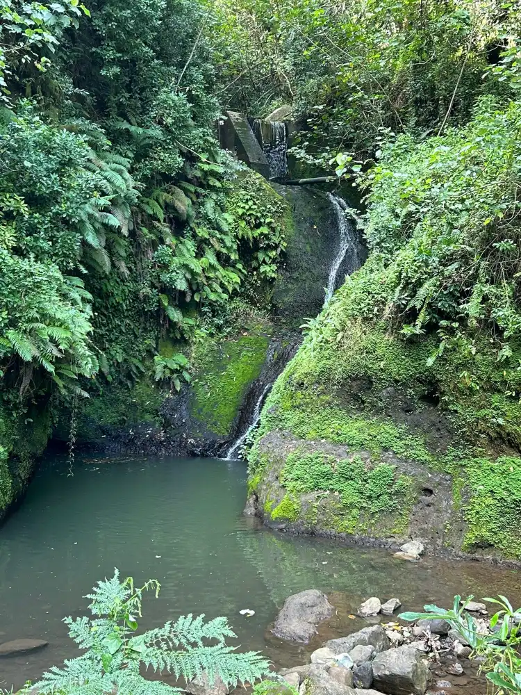 Hotels near Raro Mountain Safari Tour