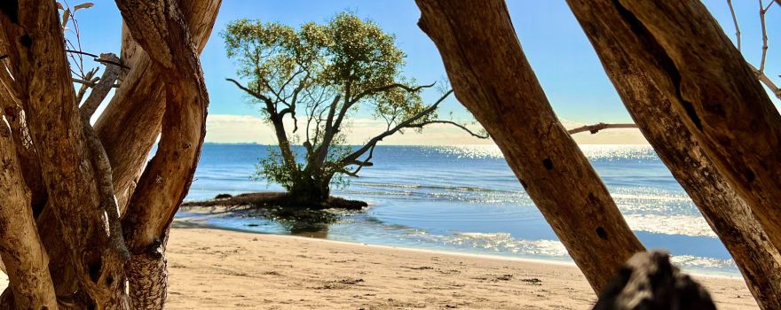 Nudgee Beach