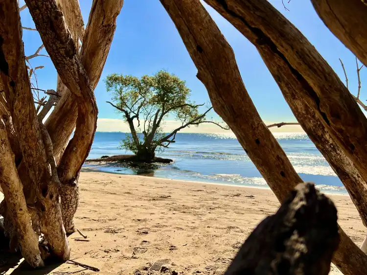 Hotels in Nudgee Beach