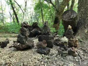 Oakdale Nature Preserve