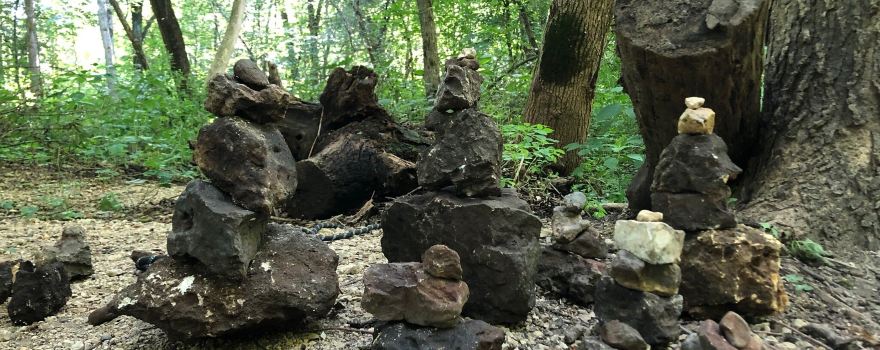 Oakdale Nature Preserve