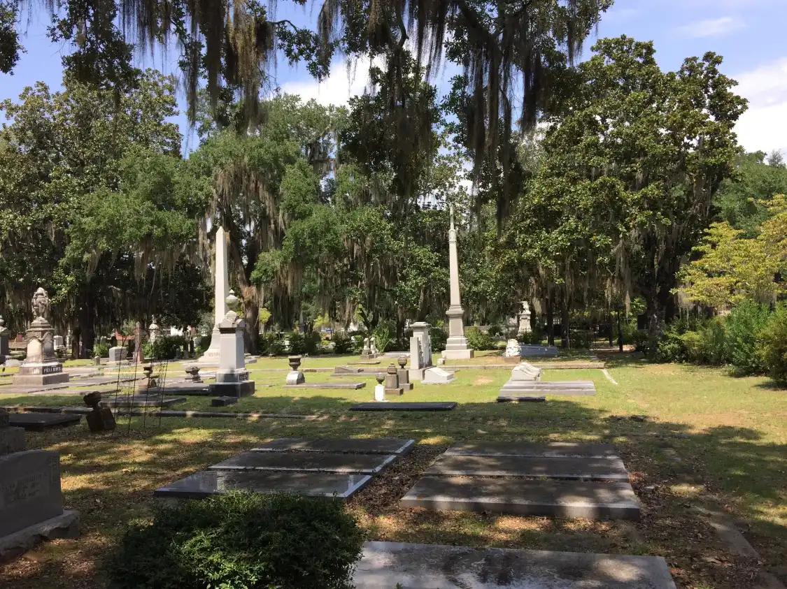 Hotels near New Live Oak Cemetery