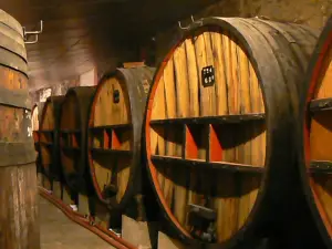 Les Vignerons de Maury