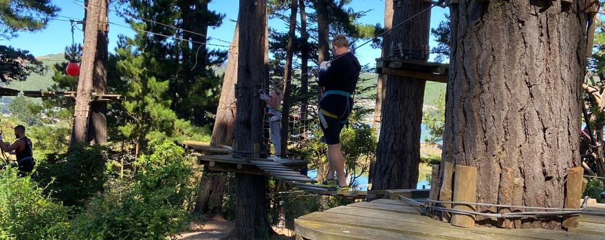 Adrenalin Forest Wellington
