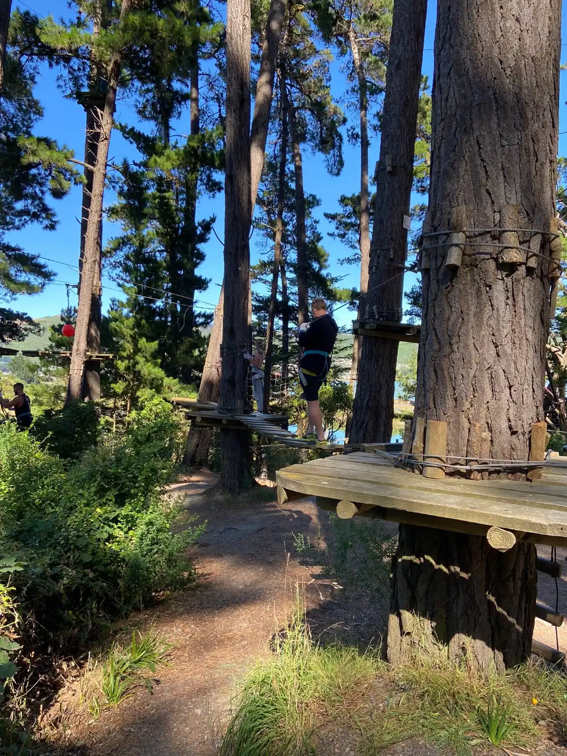 Hotel dekat Adrenalin Forest Wellington