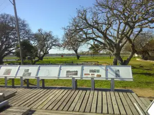 Santa Fe Archaeological Park La Vieja