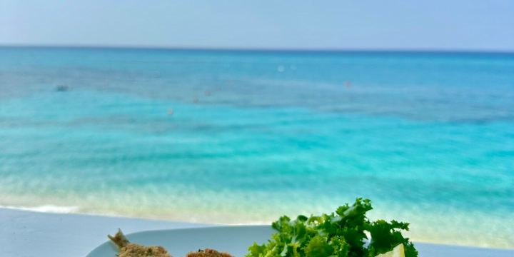 Acquamarina Beach