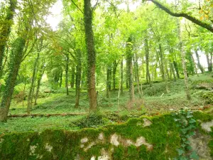 Willibaldsburg