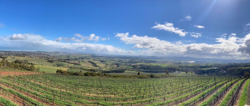 Helderberg Farm